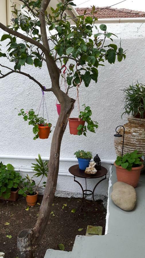 Willa Cavos Seaside House Vathy  Zewnętrze zdjęcie